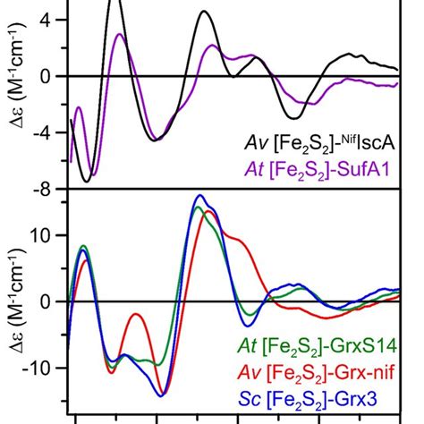 Upper Panel Comparison Of The UV Visible CD Spectra Of The Fe 2 S 2