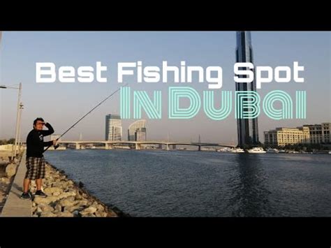 Best Free Basic Fishing Spot In Dubai Casting Rod And Reels Youtube