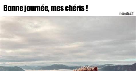 Bonne journée mes chéris Blagues et les meilleures images drôles