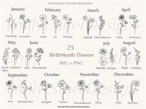 Birth Month Svg Bundle Flower Svg Birth Flower Svg Floral Svg Botanical