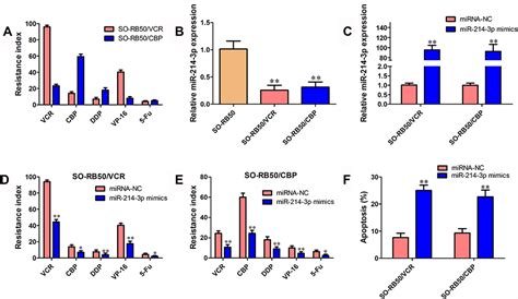 MiR 214 3p Regulates Multi Drug Resistance And Apoptosis In Retinoblas