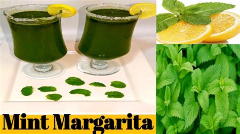 Mint Margarita Recipe Mint Lemonade Recipe Lemon Podina Ka Sharbat Refreshing Summer Drink