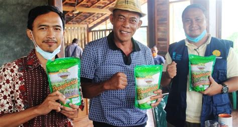 Regenerasi Petani Program YESS Di Subang Targetkan 4 985 Milenial