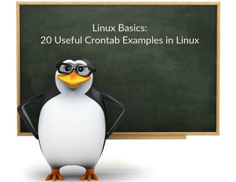 Linux Basics 20 Useful Crontab Examples In Linux Linux Basic Command