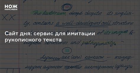 Сайт дня: сервис для имитации рукописного текста — Нож