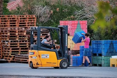 Mano De Obra Nicarag Ense Representa Del Mercado Laboral En Costa