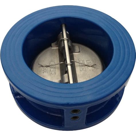 Ci Body Ss Disc Dual Plate Wafer Check Valve China Valve And