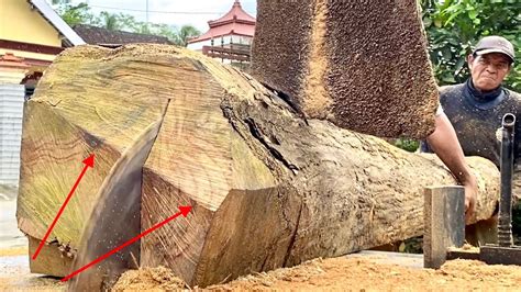 Meledak Untung Besar Gara Gara Dapat Kayu Jati Sungu Kayu Bagus Galih