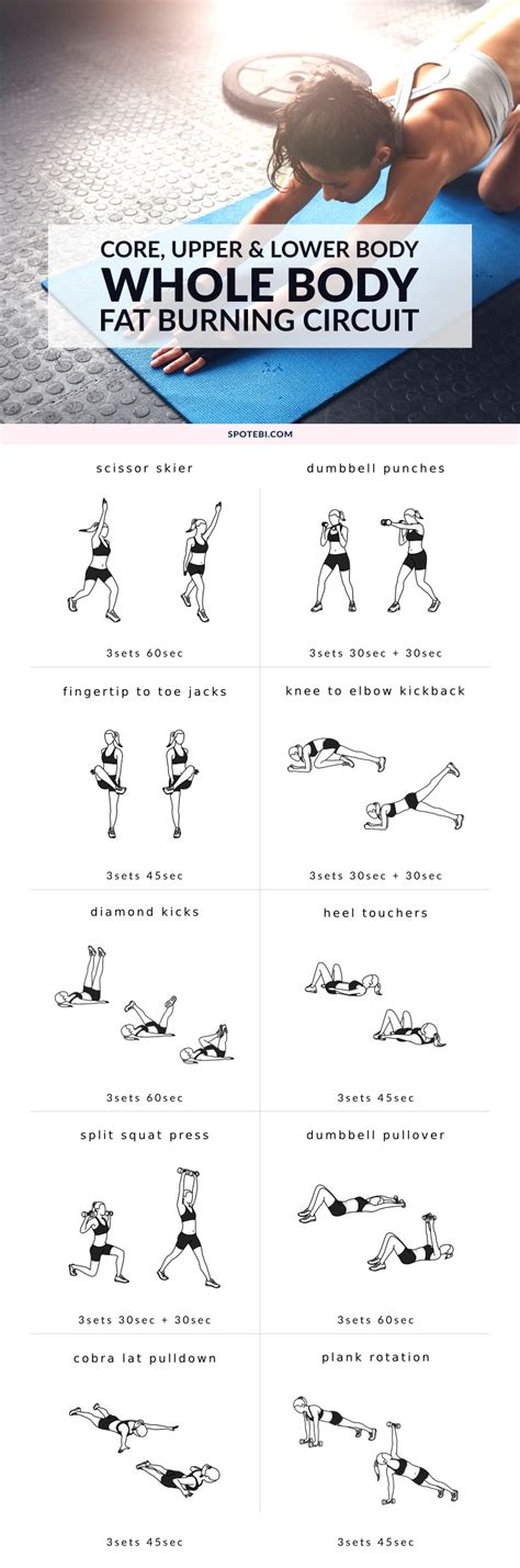 Total Body Workout Routine For Weight Loss | EOUA Blog