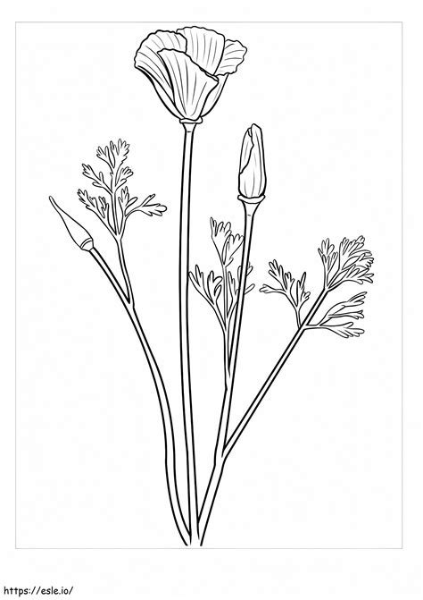 Perfect Trillium coloring page