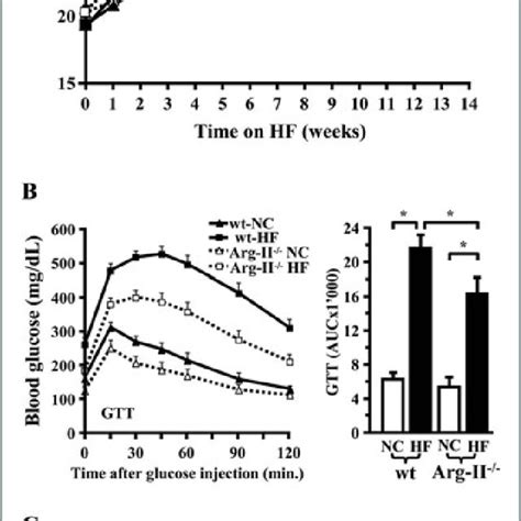 Improved Glucose Tolerance And Insulin Sensitivity In Argii −− Mice