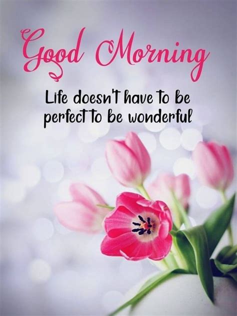 Best In Pinterest Morning Images Good Morning Images Quotes Wishes