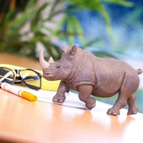 White Rhino Toy, lb - QFC