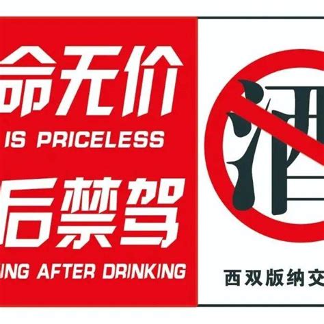 生命无价 酒后禁驾 酒驾醉驾违法大曝光！ 案例 检测 处理