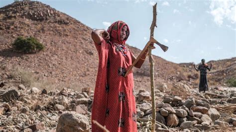 Ethiopias Tigray War Fresh Fighting Shatters Humanitarian Truce Bbc