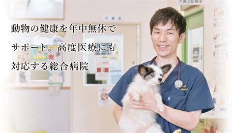 動物の健康を年中無休でサポート。高度医療にも対応する総合病院 平成動物病院 愛知県春日井市 ドクターズインタビュー 動物病院