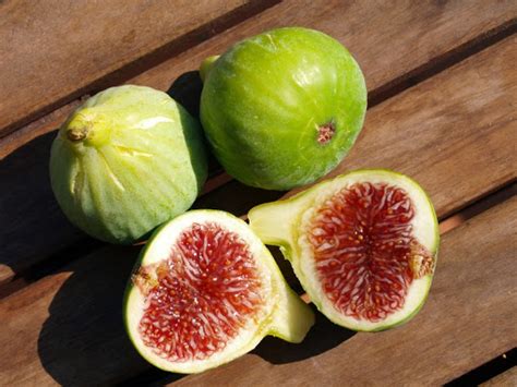 Figues Blanches Le Potager Coudoux