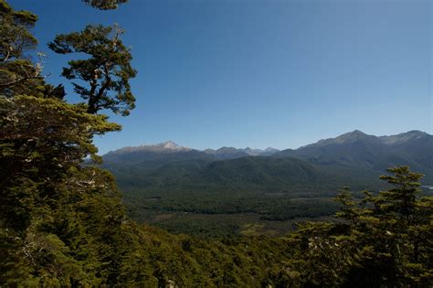 New Zealand - Manapouri Circle Track 10