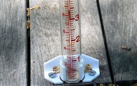 Rain gauge | What is, origin, types, how it works, what is it for ...