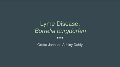 Lyme Disease Borrelia Burgdorferi Ppt Download