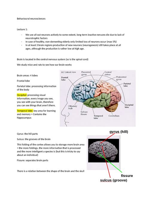 Behavioural Neurosciences Behavioural Neurosciences Lecture We