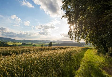 Im Berblick Landhaus Schulte G Bel Schmallenberg Sauerland