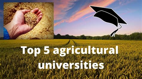 Top 5 Agricultural Universities Best Agricultural Universities Youtube