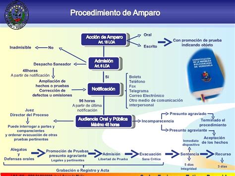 Procedimiento De Amparo Constitucional En Venezuela