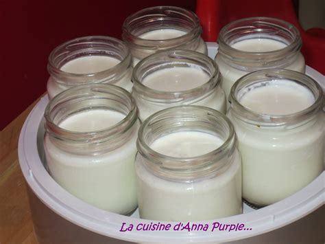 Yaourt Maison Nature Au Lait De Brebis La Cuisine D Anna Purple