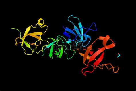 Mitogen Aktiverad Kinase F R Kinase F R Proteinkinase Ett Enzym Och