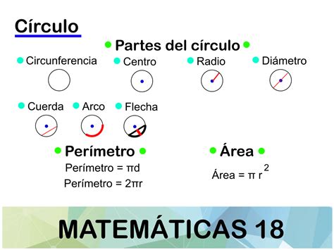 Cuales Son Las Partes Del Circulo Ecer