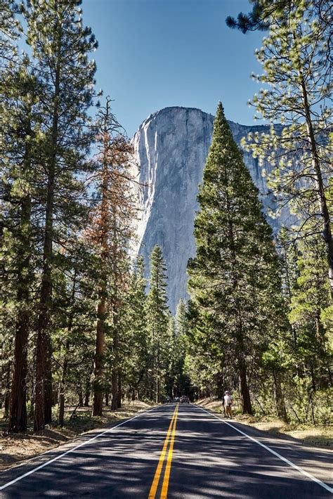 Dispersed Camping Yosemite: A Guide to Nearby Free Sites