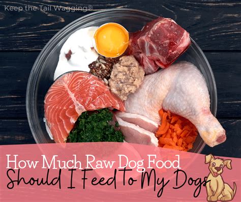 How Do You Feed A Puppy Raw Meat