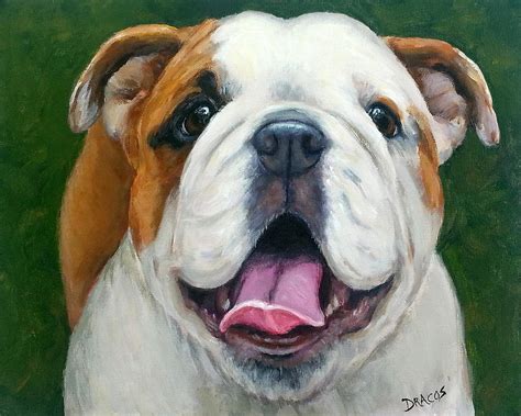 Sweet Little English Bulldog Painting By Dottie Dracos Pixels