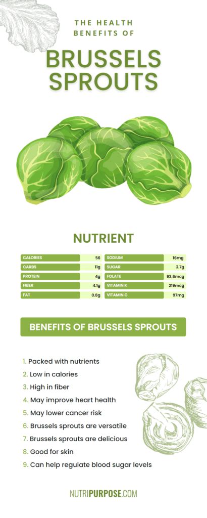 Brussels Sprouts Health Benefits What You Need To Know