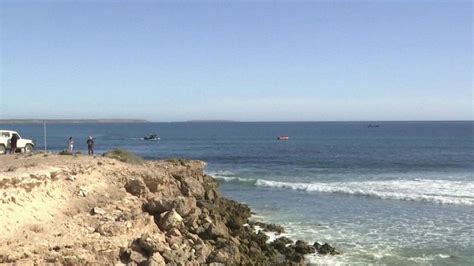 Missing Surfer Believed Dead After Australia Shark Attack Bbc News