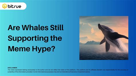 Examining the Role of Whales in the Crypto Meme Coin Sector – Bitrue FAQ