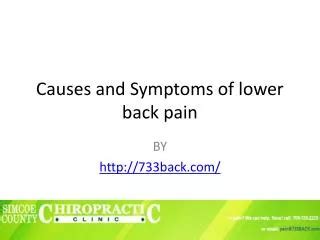 PPT Lower Back Pain Causes Symptoms And Treatments PowerPoint