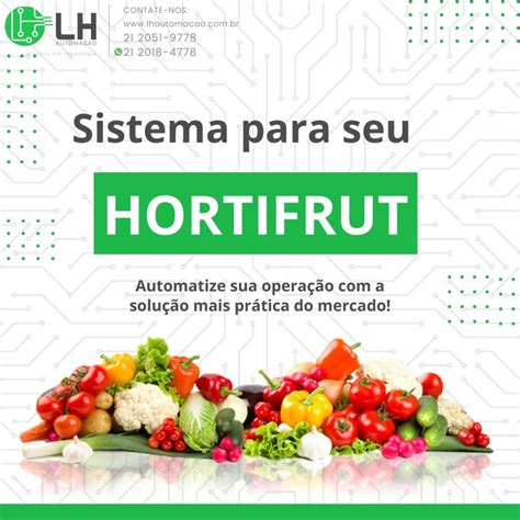 The Front Cover Of A Brochure With An Image Of Vegetables And Fruits On It