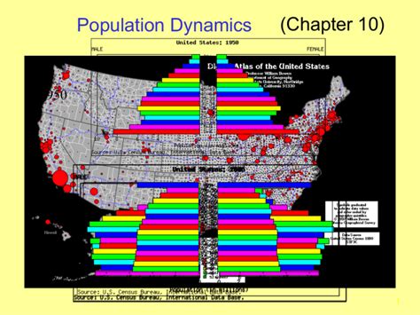 Populations Dynamics