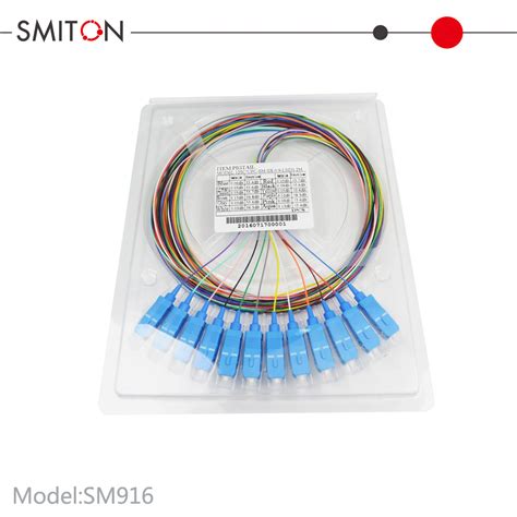 Sc Optical Fiber 12 Core Pigtail Sm Patch Cable China Fiber Optic