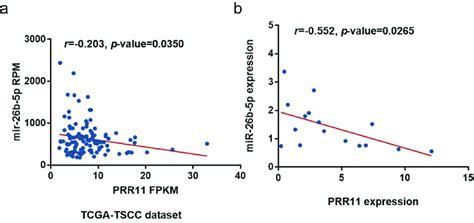 Correlation Of Mir 26b 5p And Prr11 Expression In Tscc Pearson