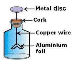 Electroscope Diagram