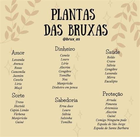 Horta Em Casa Para Cultivar Ervas E Temperos Artofit