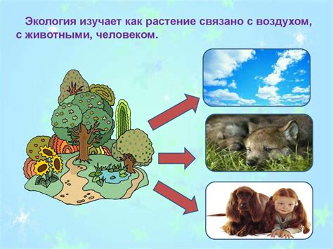 Наука о связях живых существ и среды обитания экология презентация