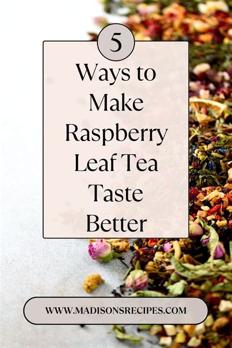 Delicious Raspberry Leaf Tea Recipes