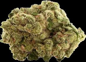 Sour Diesel | Northeast Alternatives Weed Dispensary