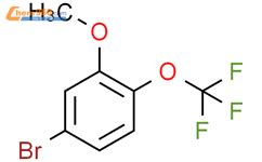 4 bromo 2 methoxy 1 trifluoromethoxy benzene 672948 65 1 深圳爱拓化学有限公司