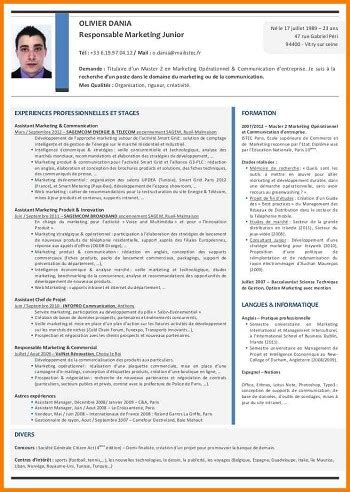 Exemple De Cv Directeur Commercial