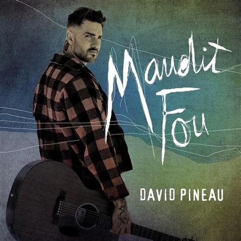 David Pineau Maudit Fou Lyrics And Tracklist Genius